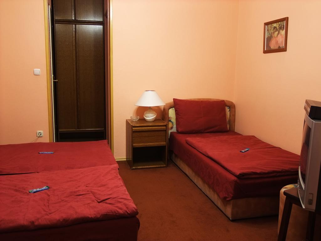 Bed & Breakfast Vila Stanisic Pozega Rum bild